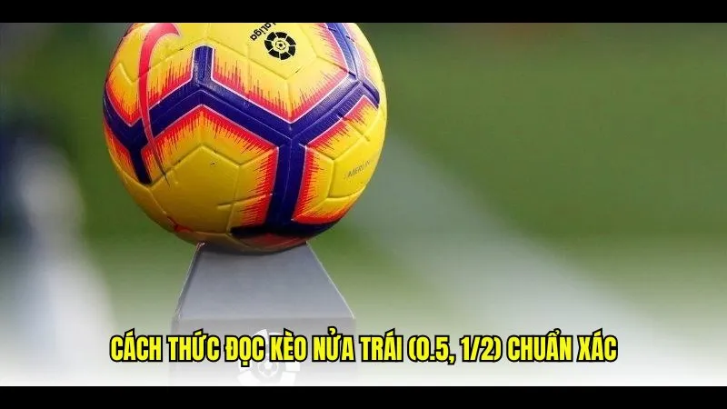 Nửa trái của kèo đặc trưng