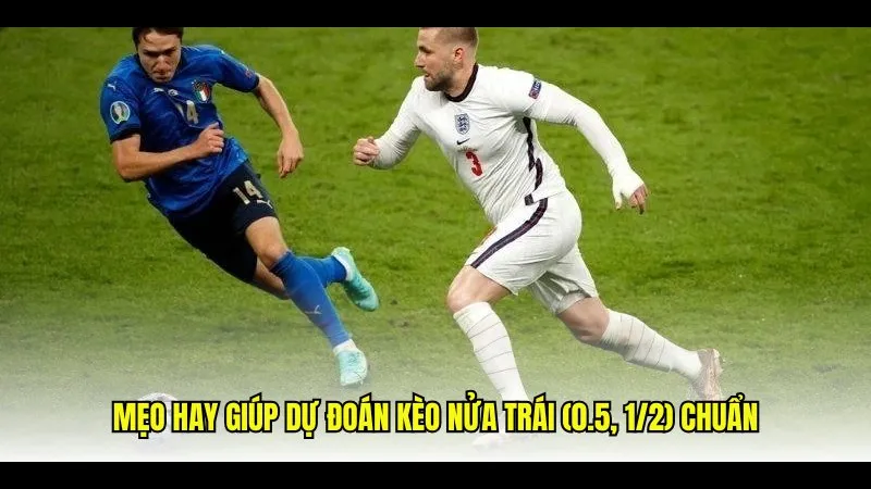 Nhóm cầu thủ chơi kèo nửa trái trên