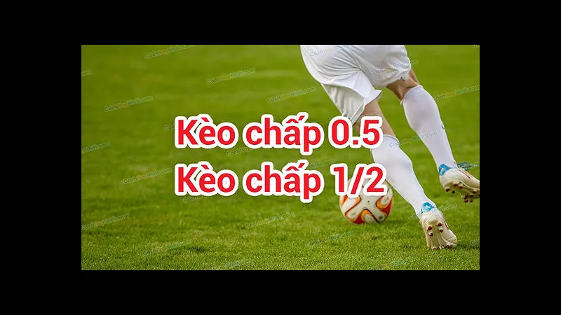 Kèo nửa trái trong cá cược