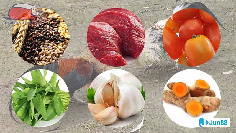 Khu vực chuẩn bị cho việc nuôi gà